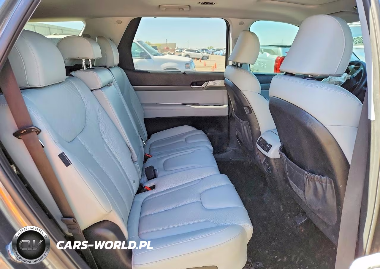 2023 Hyundai Palisade Sel Premium VIN:KM8R4DGE3PU577155 - 10