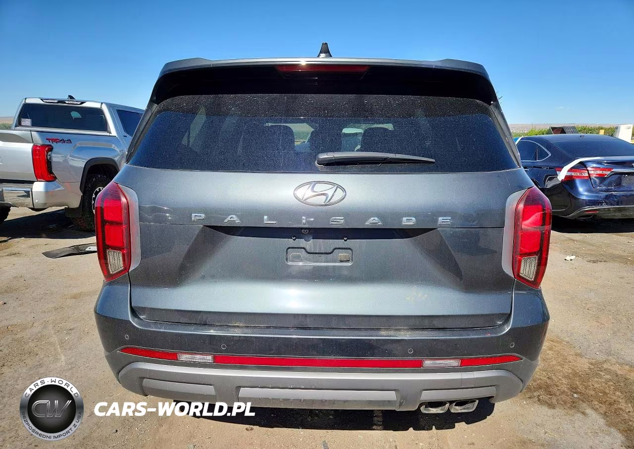 2023 Hyundai Palisade Sel Premium VIN:KM8R4DGE3PU577155 - 6