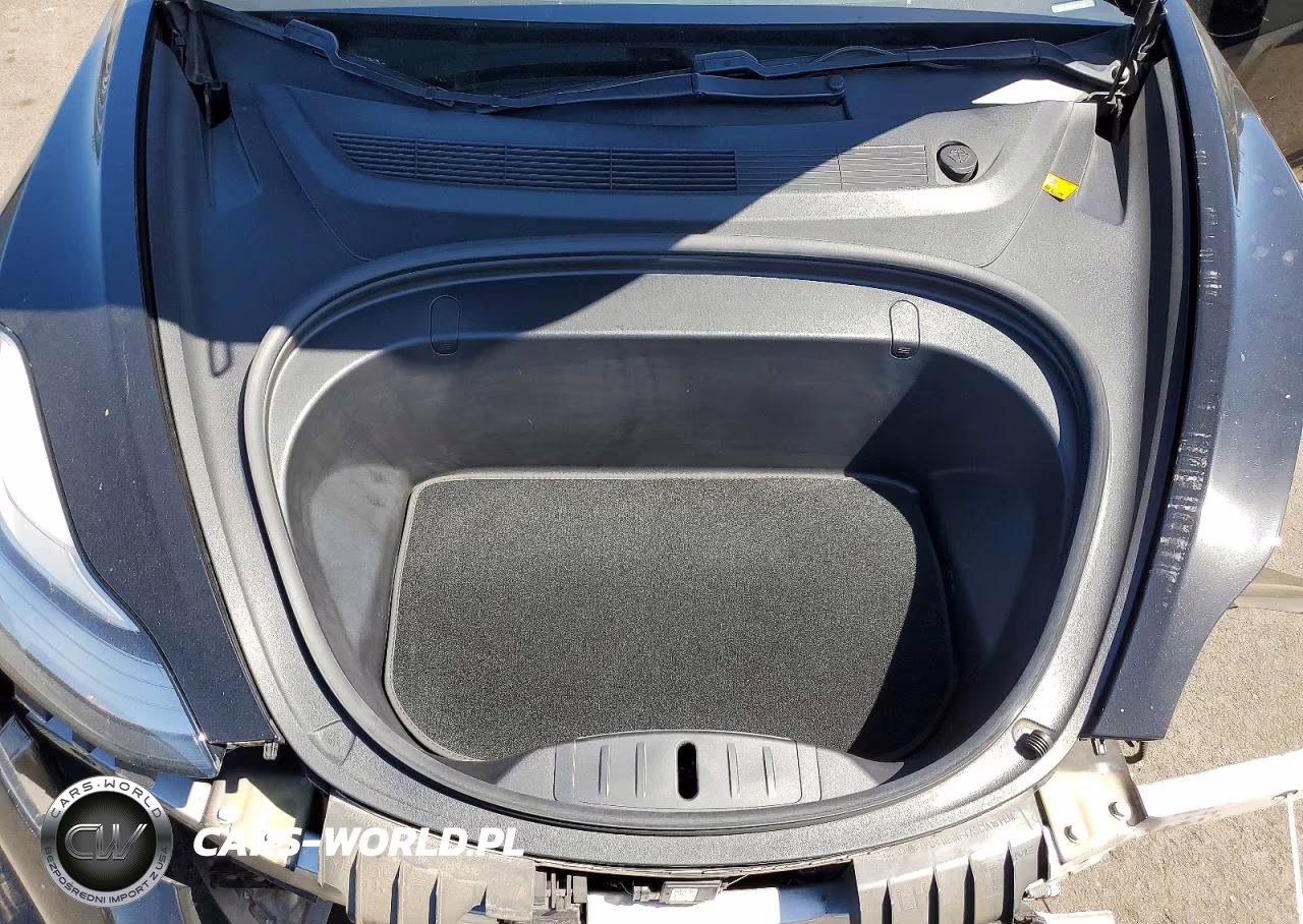 2018 Tesla Model 3 VIN:5YJ3E1EA8JF123067 - 11