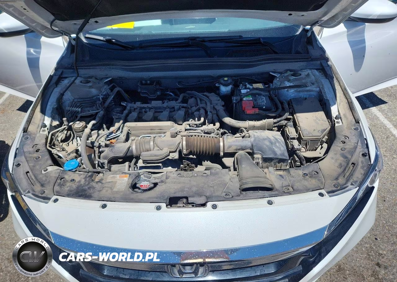 2019 Honda Accord Lx VIN:1HGCV1F13KA079098 - 11