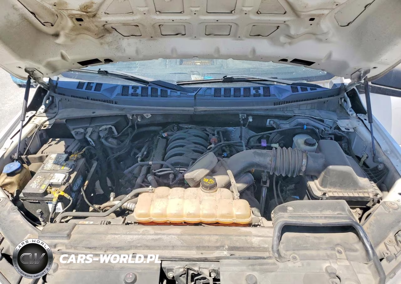 2019 Ford F150 Supercrew VIN:1FTEW1E53KKC42125 - 11