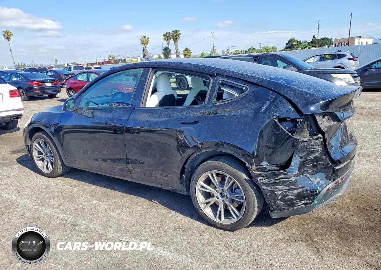 2023 Tesla Model Y VIN:7SAYGDEE0PF910420 - 2