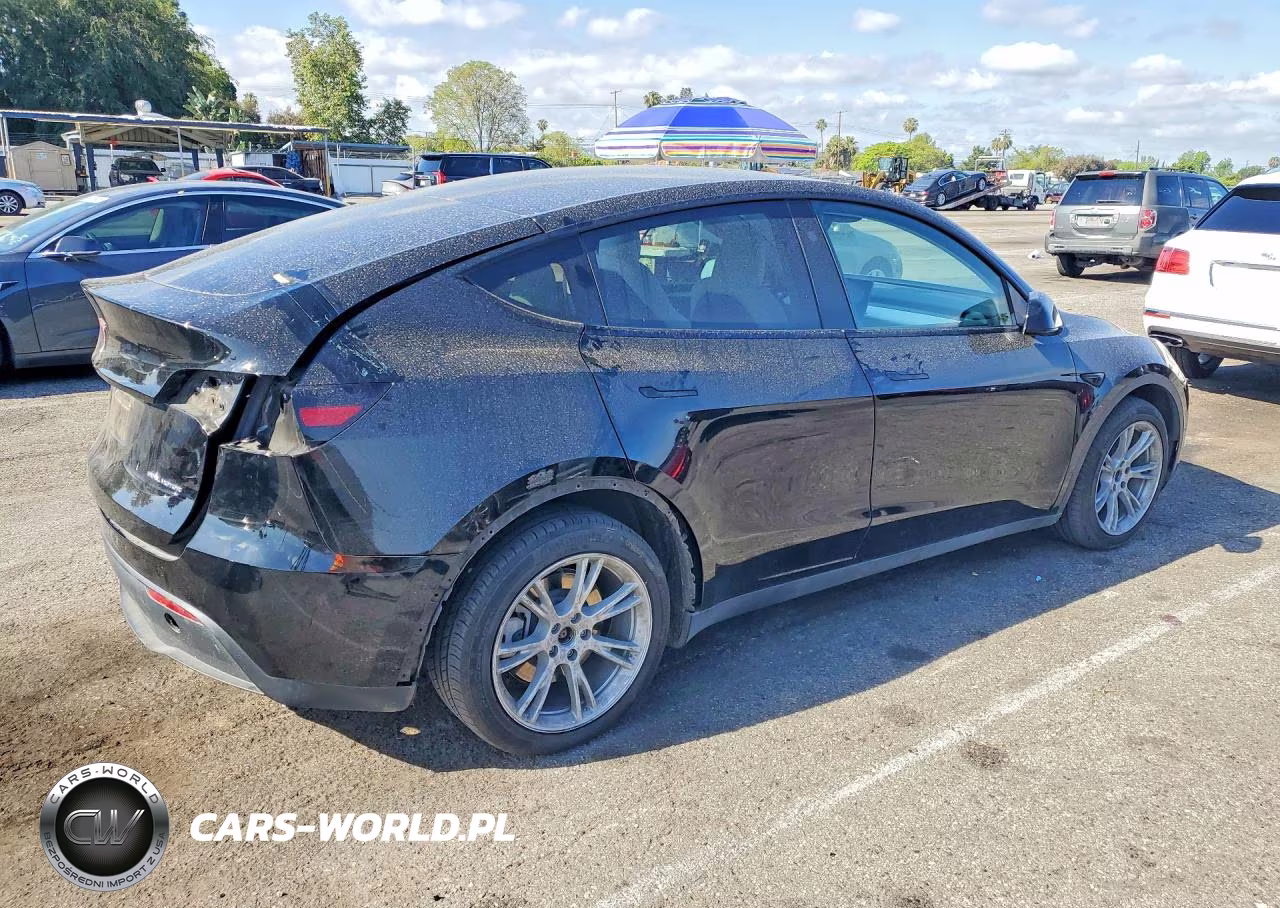 2023 Tesla Model Y VIN:7SAYGDEE0PF910420 - 3
