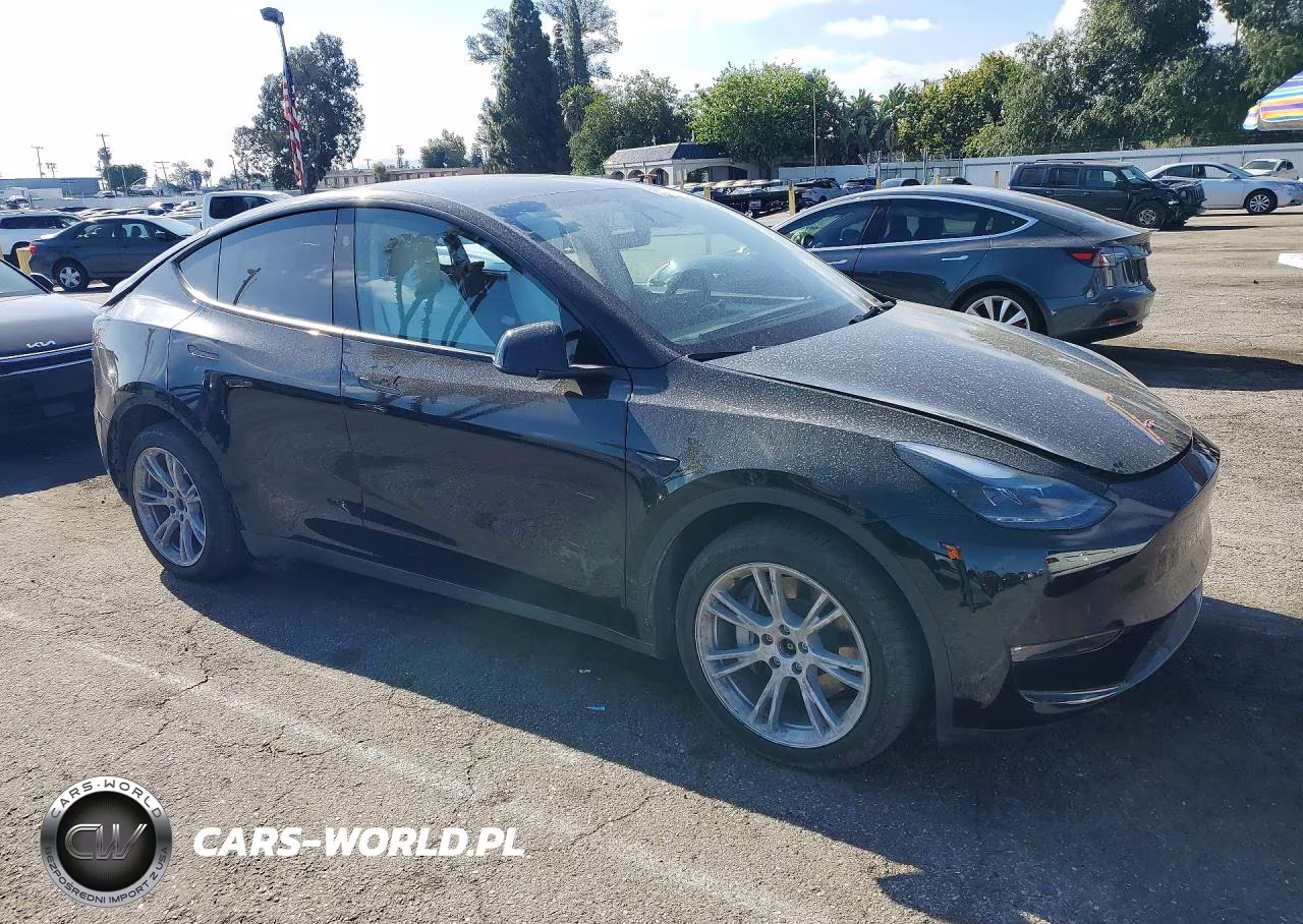 2023 Tesla Model Y VIN:7SAYGDEE0PF910420 - 4