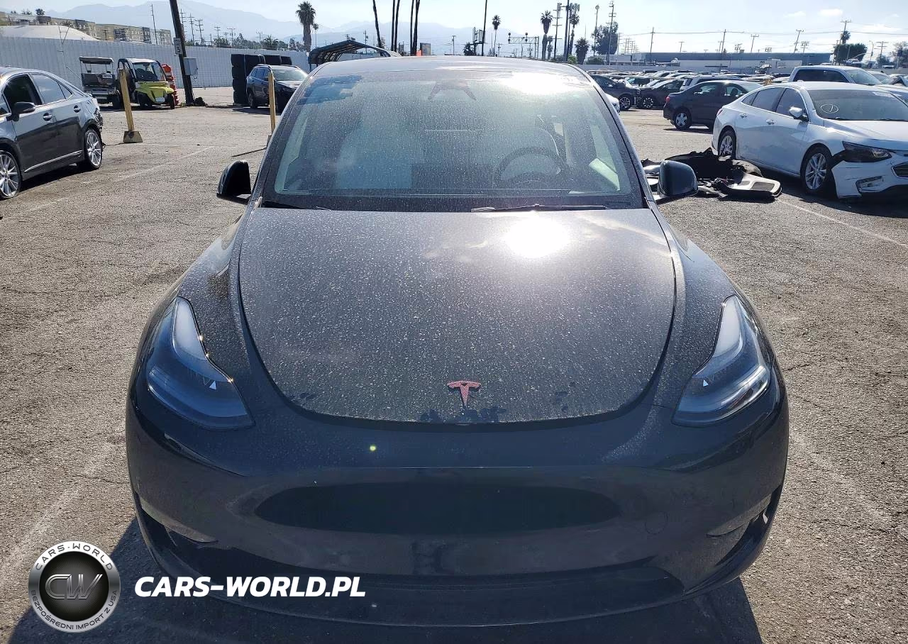 2023 Tesla Model Y VIN:7SAYGDEE0PF910420 - 5