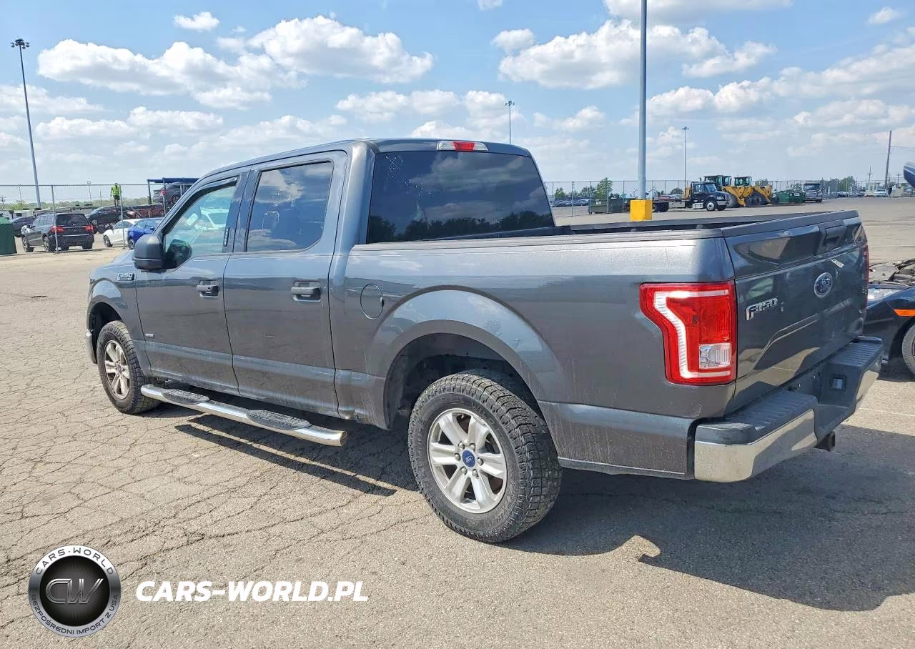 2016 Ford F150 Supercrew VIN:1FTEW1CP9GFC97196 - 2