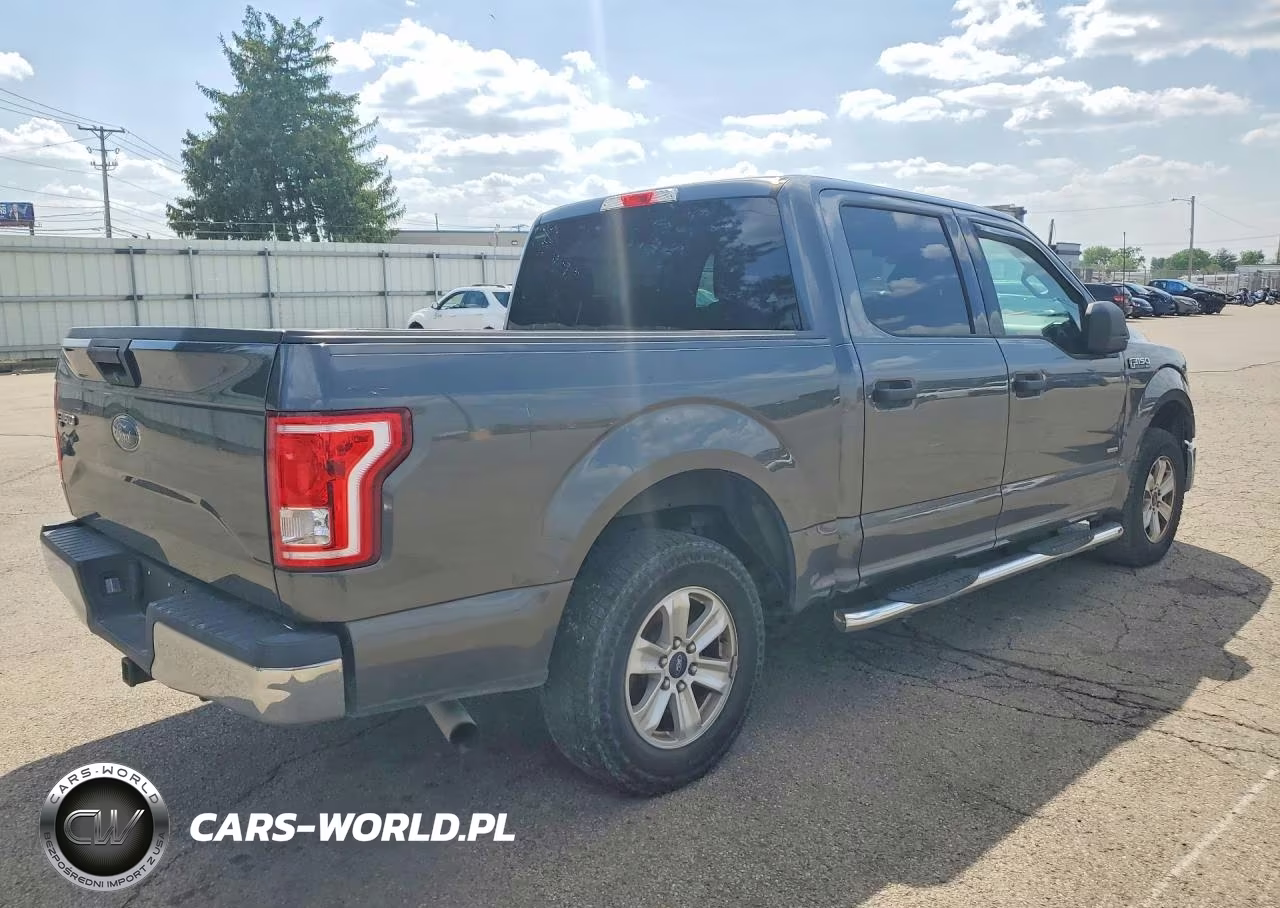 2016 Ford F150 Supercrew VIN:1FTEW1CP9GFC97196 - 3