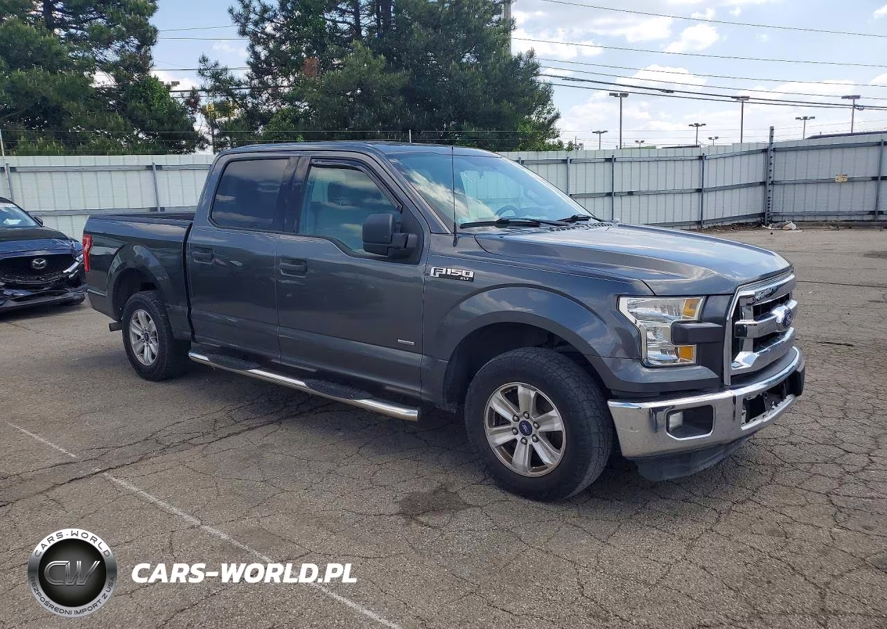2016 Ford F150 Supercrew VIN:1FTEW1CP9GFC97196 - 4