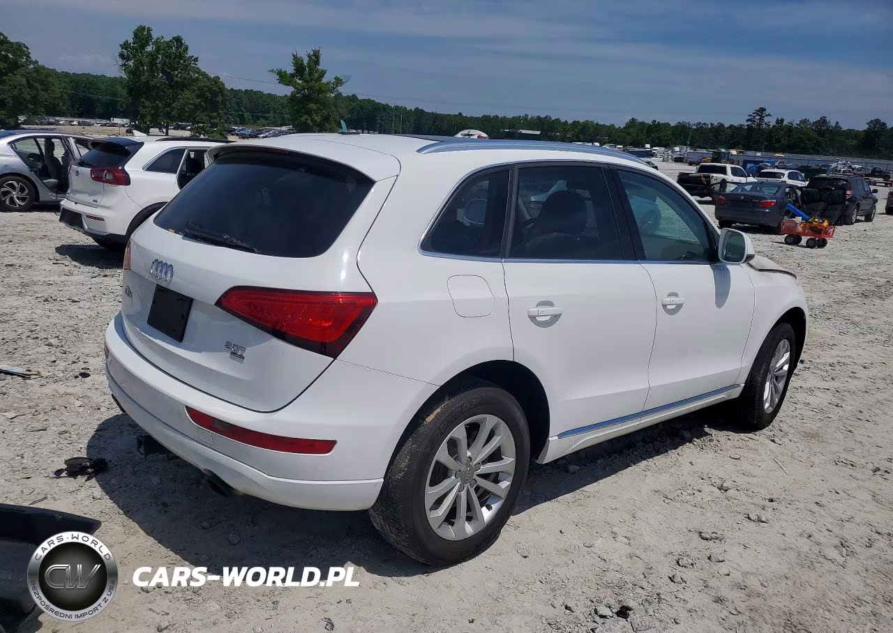 2013 Audi Q5 Premium Plus VIN:WA1LFAFP5DA066379 - 3