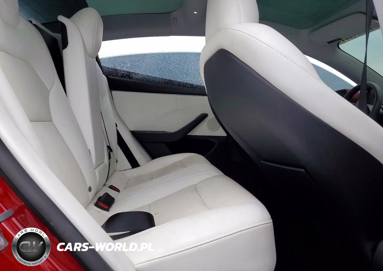 2025 Tesla Model 3 VIN:5YJ3E1EA3SF975294 - 10