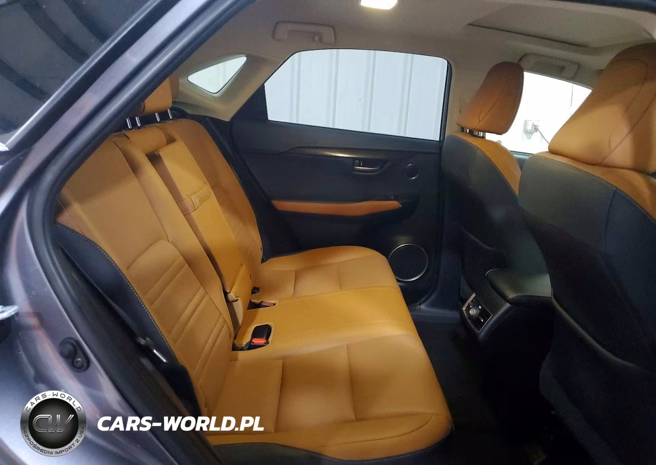 2019 Lexus Nx 300H Base VIN:JTJBJRBZ0K2115031 - 11