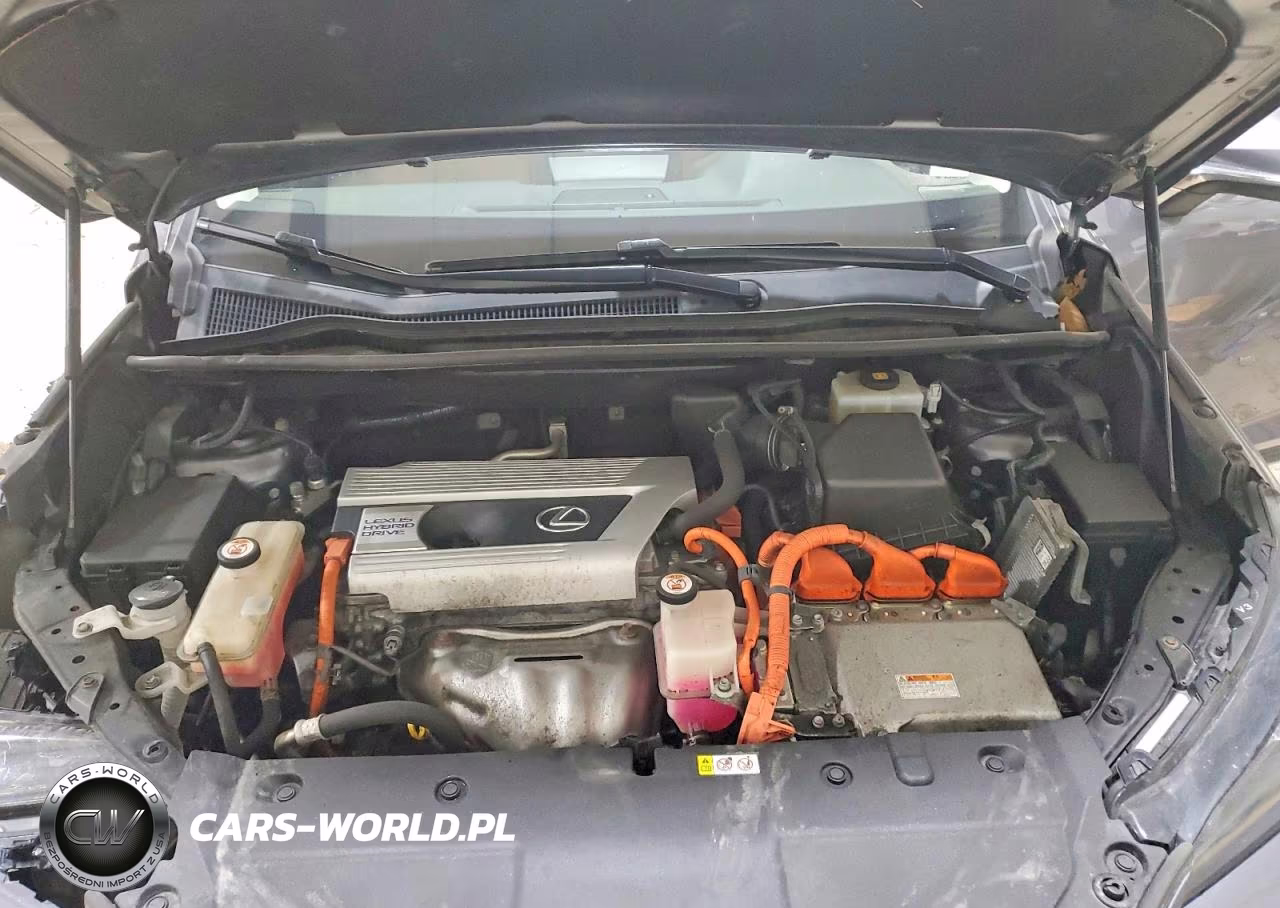 2019 Lexus Nx 300H Base VIN:JTJBJRBZ0K2115031 - 12