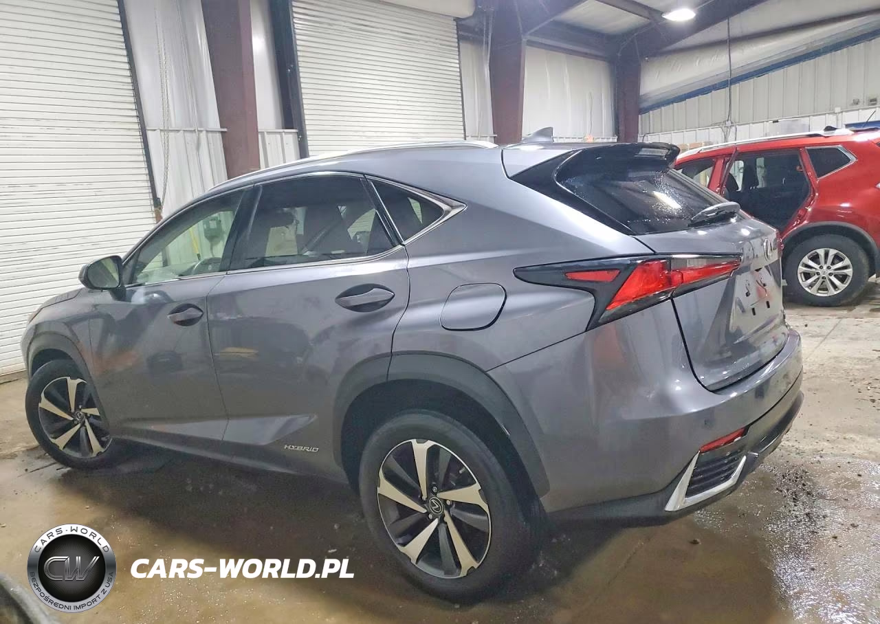 2019 Lexus Nx 300H Base VIN:JTJBJRBZ0K2115031 - 2
