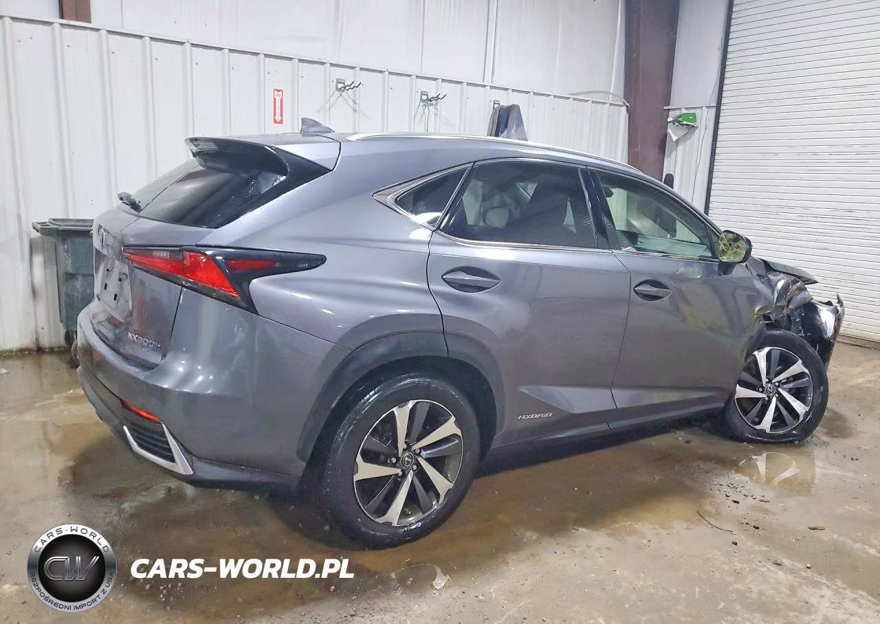 2019 Lexus Nx 300H Base VIN:JTJBJRBZ0K2115031 - 3