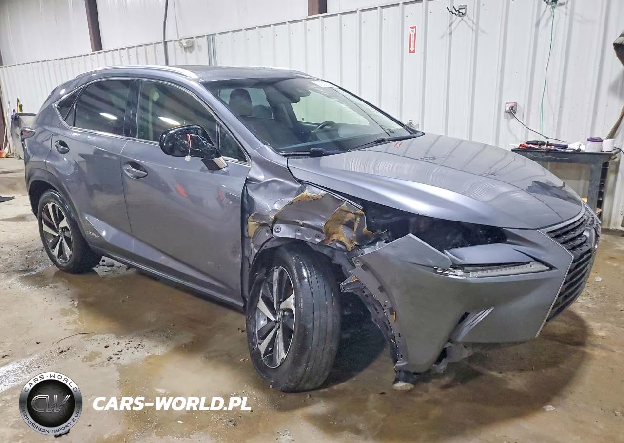 2019 Lexus Nx 300H Base VIN:JTJBJRBZ0K2115031 - 4