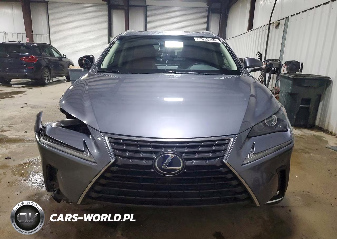 2019 Lexus Nx 300H Base VIN:JTJBJRBZ0K2115031 - 5