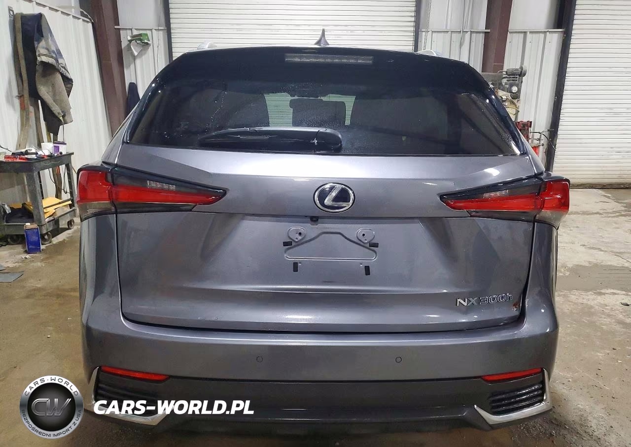 2019 Lexus Nx 300H Base VIN:JTJBJRBZ0K2115031 - 6