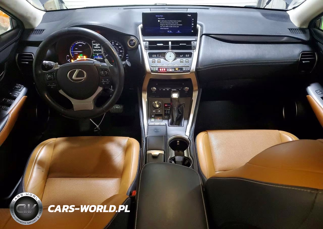 2019 Lexus Nx 300H Base VIN:JTJBJRBZ0K2115031 - 8