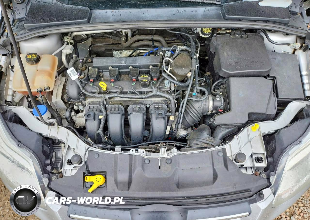 2014 Ford Focus Se VIN:1FADP3F24EL313622 - 11