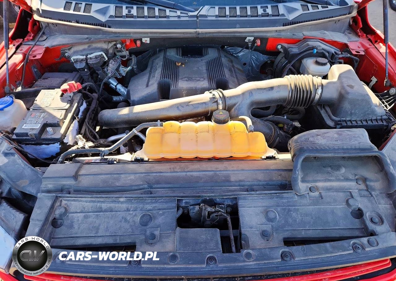 2019 Ford F150 Supercrew VIN:1FTEW1E43KFA44273 - 11