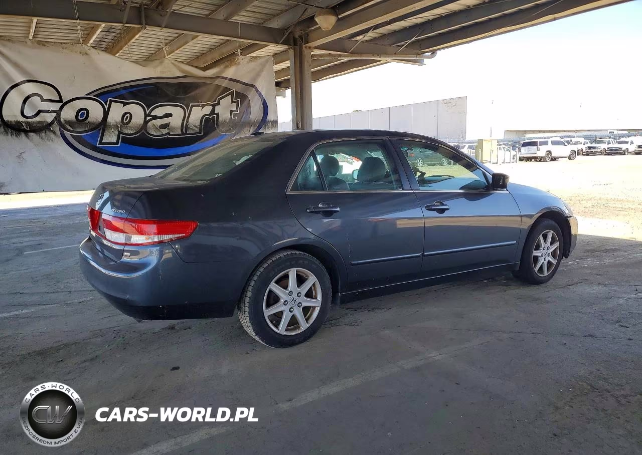2004 Honda Accord Ex VIN:1HGCM66564A097746 - 3