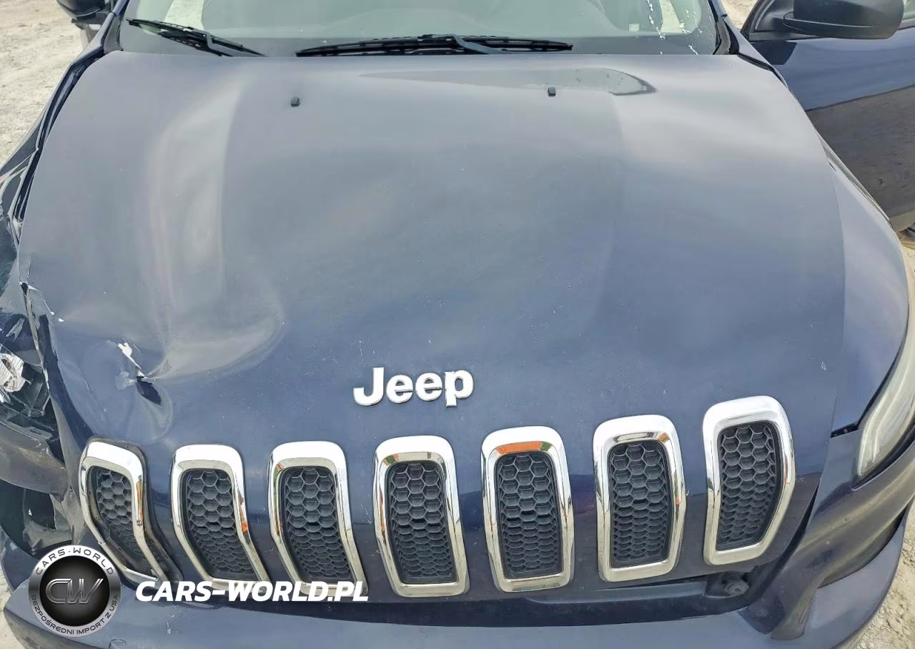 2016 Jeep Cherokee Sport VIN:1C4PJLAB8GW216876 - 11