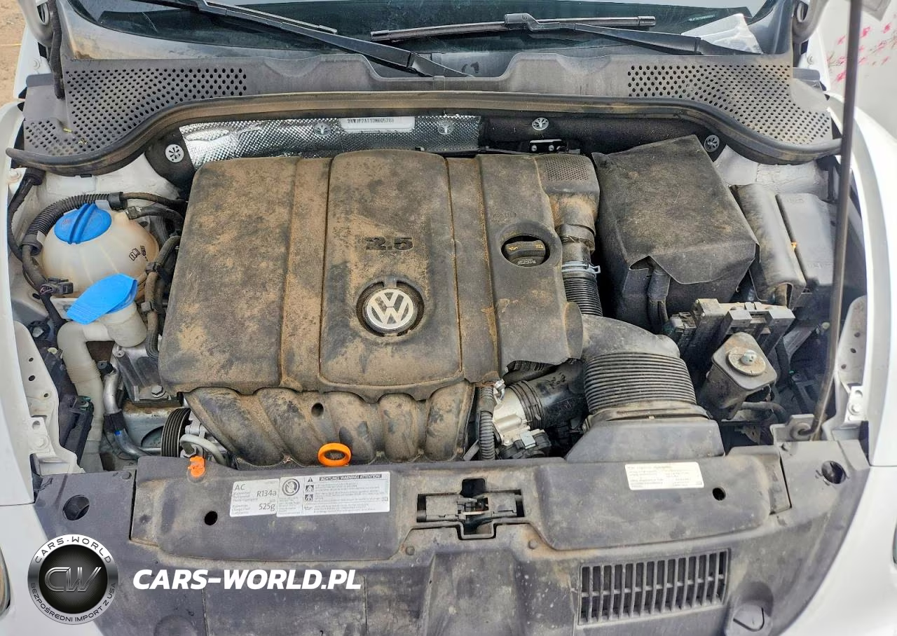 2013 Volkswagen Beetle VIN:3VWJP7AT1DM605789 - 11