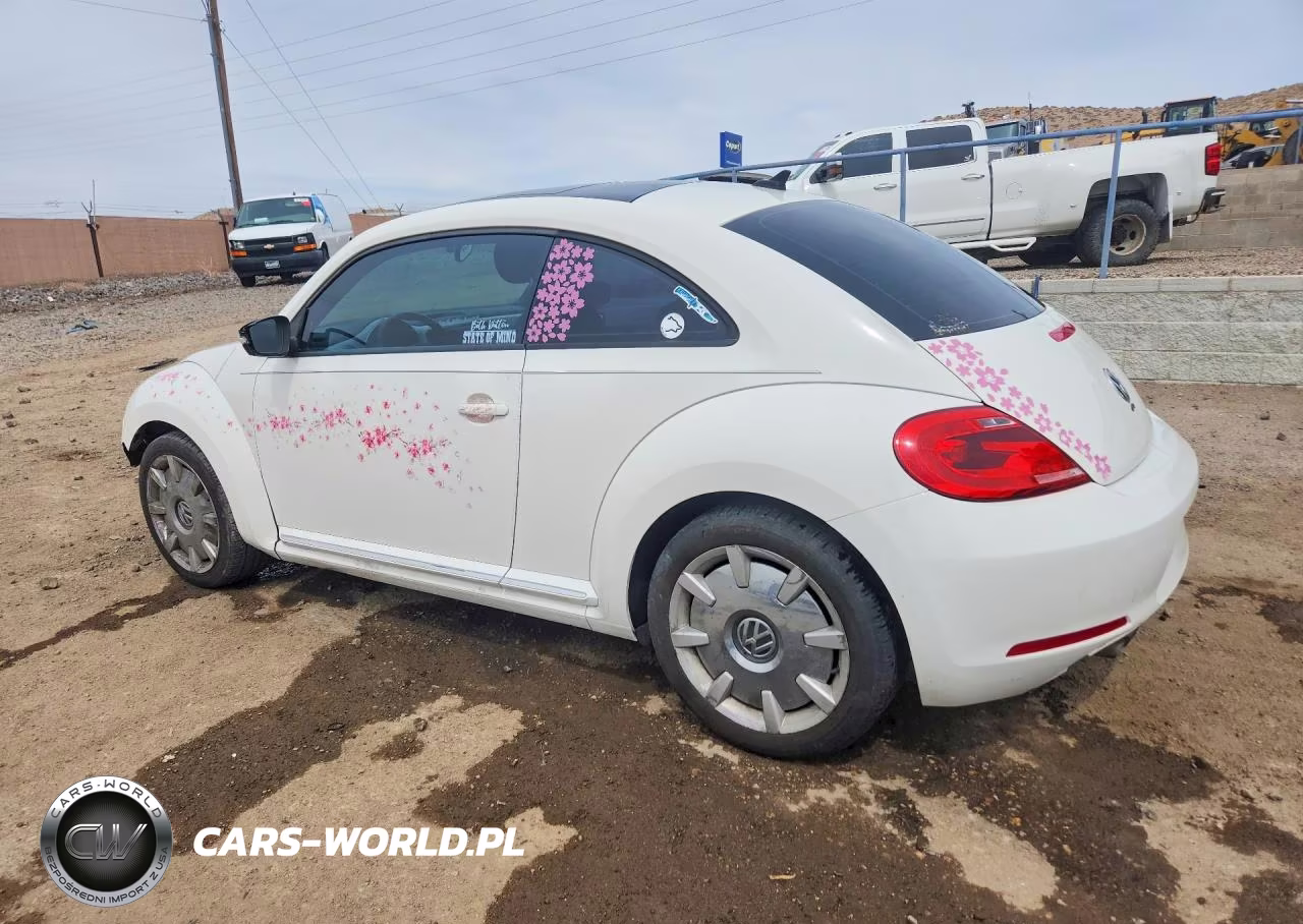 2013 Volkswagen Beetle VIN:3VWJP7AT1DM605789 - 2