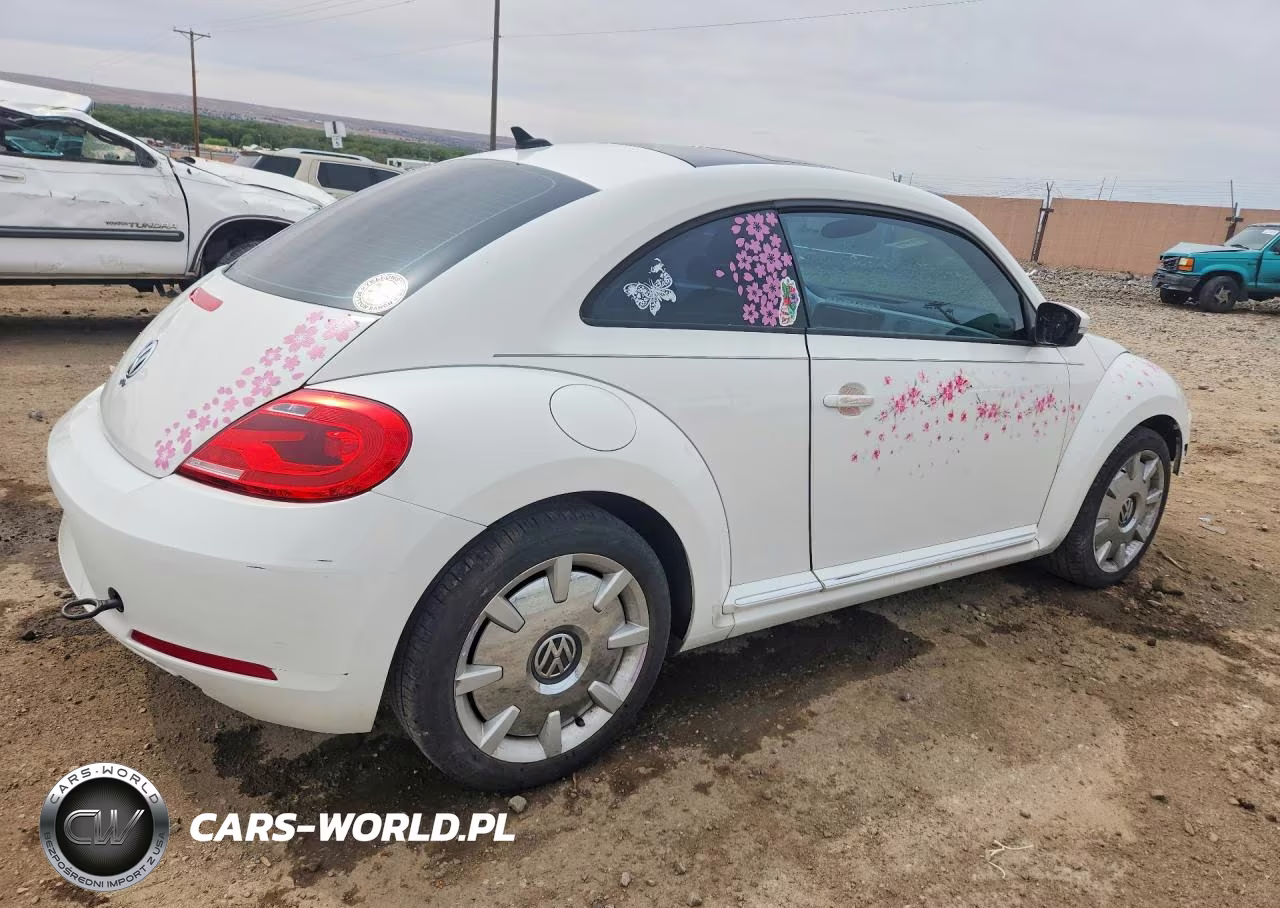 2013 Volkswagen Beetle VIN:3VWJP7AT1DM605789 - 3