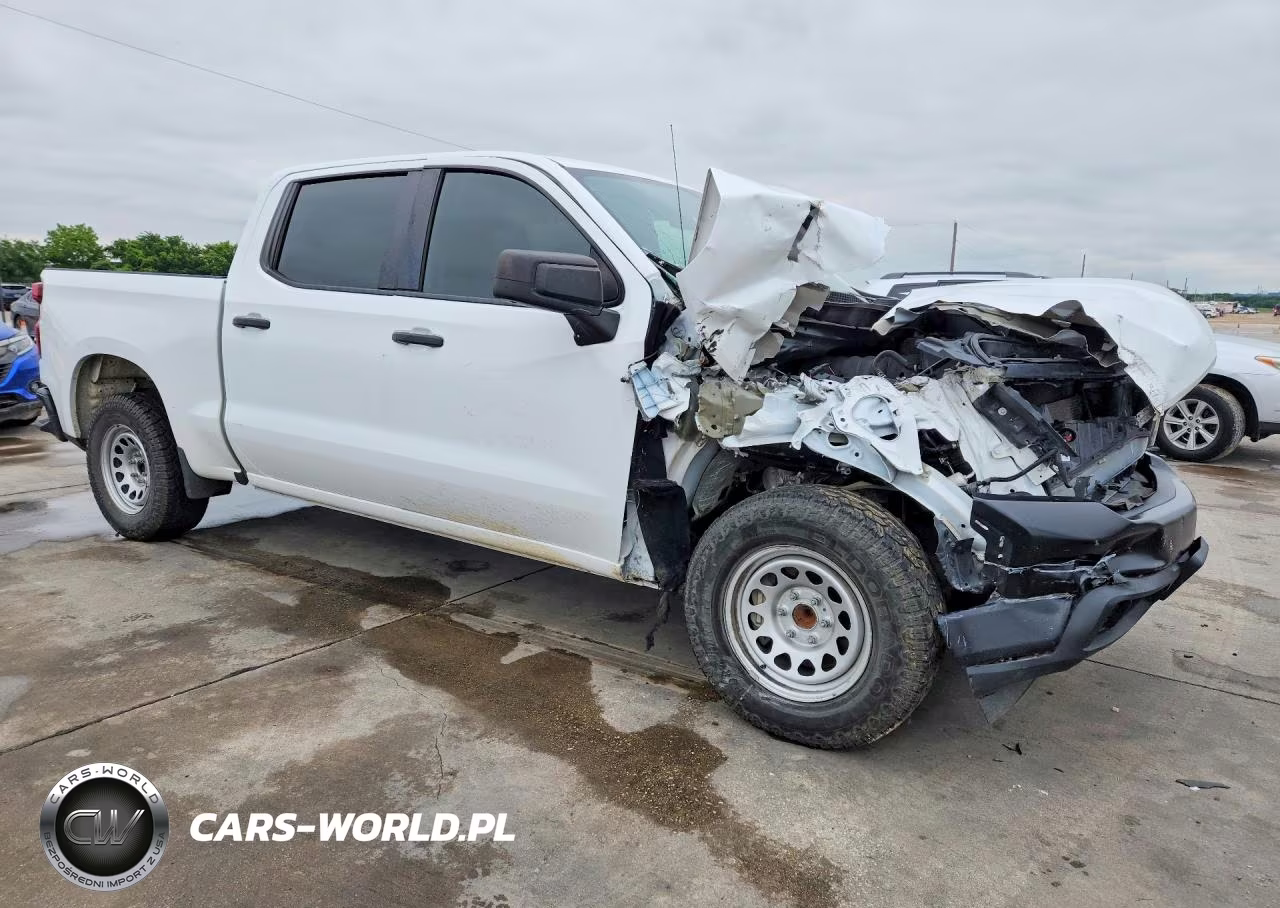 2020 Chevrolet Silverado C1500 VIN:1GCPWAEF8LZ172485 - 4