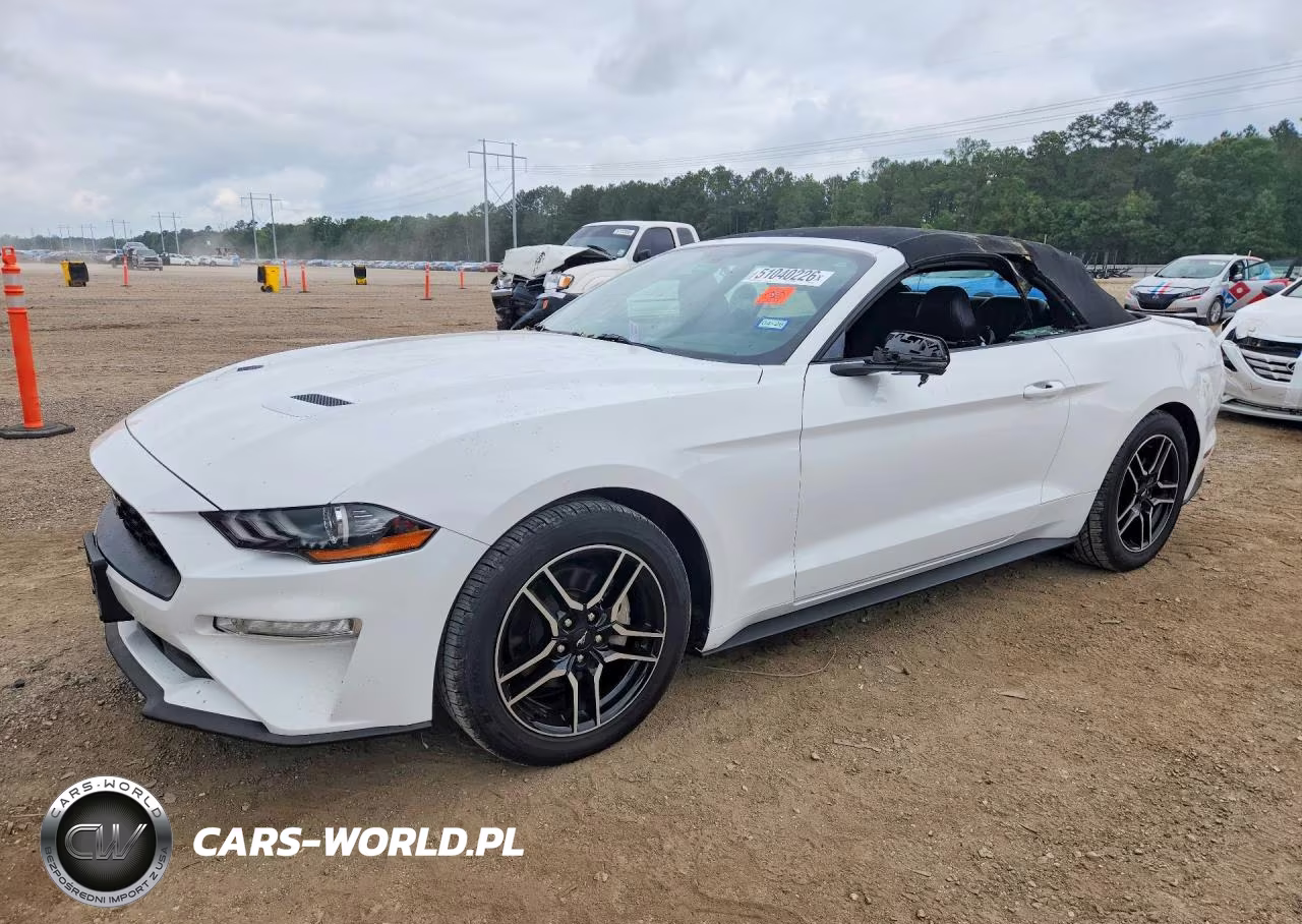 2019 Ford Mustang