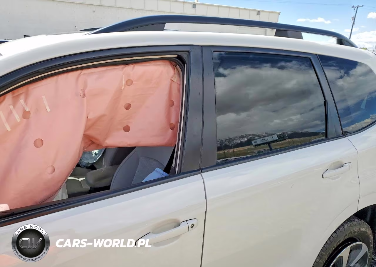 2018 Subaru Forester 2.5I Premium VIN:JF2SJAGC4JH515003 - 10