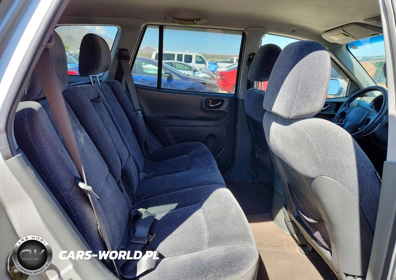 2003 Hyundai Santa Fe Gls VIN:KM8SC13D93U526592 - 10