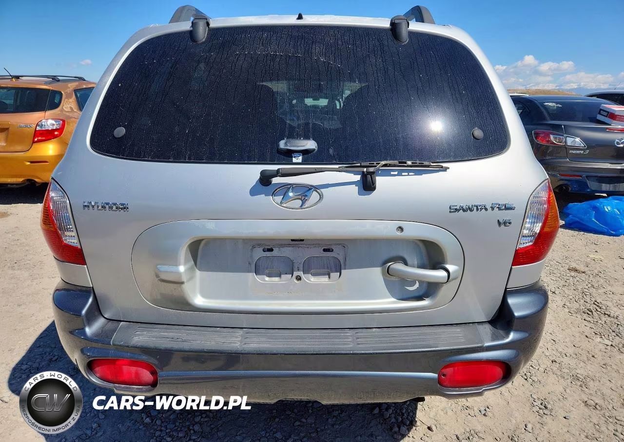 2003 Hyundai Santa Fe Gls VIN:KM8SC13D93U526592 - 6