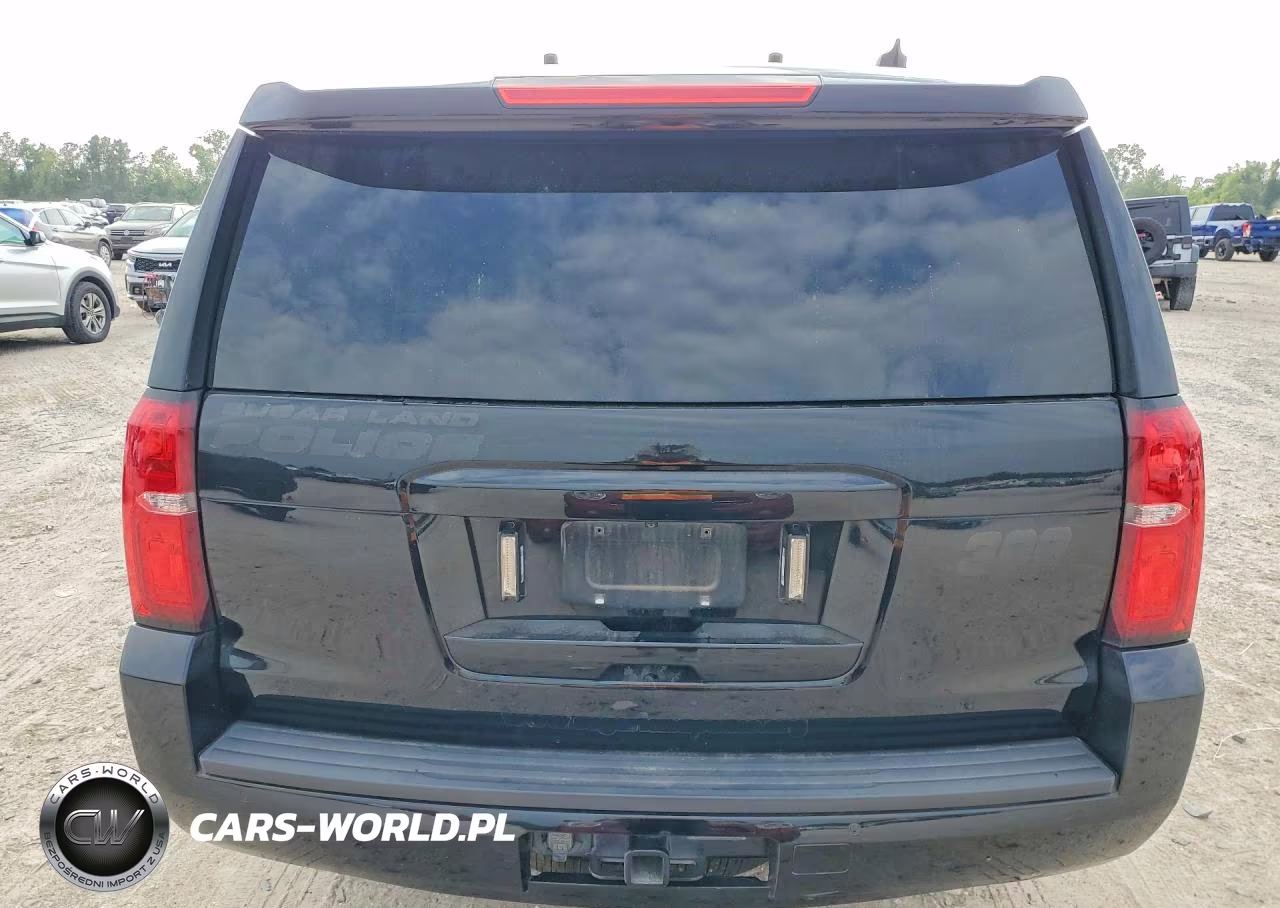 2020 Chevrolet Tahoe Police VIN:1GNLCDEC0LR245970 - 6