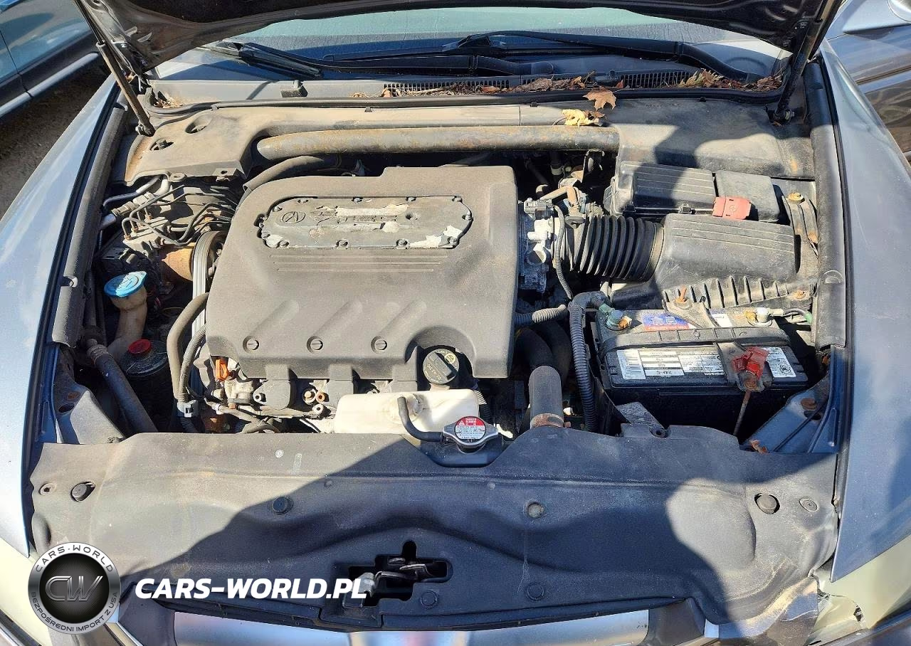 2005 Acura Tl VIN:19UUA66205A077271 - 11