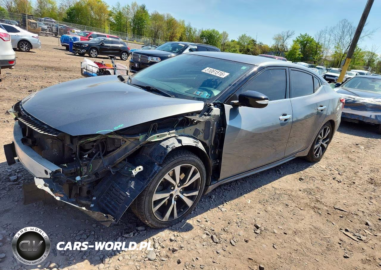 2018 Niss Maxima