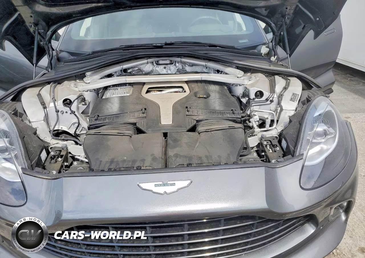 2021 Aston Martin Dbx VIN:SCFVUJAW5MTV03824 - 12