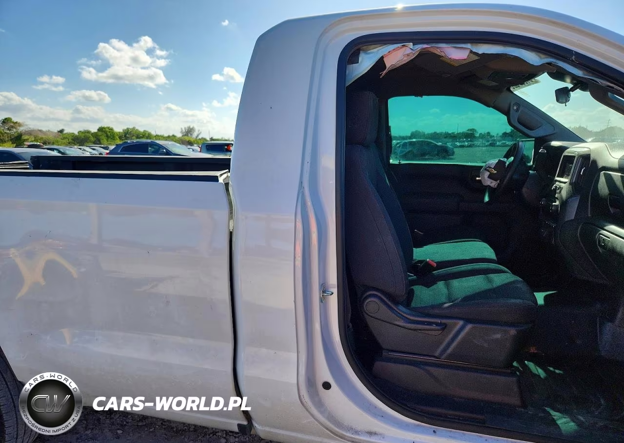 2023 Chevrolet Silverado C1500 VIN:3GCNAAEK7PG215058 - 10