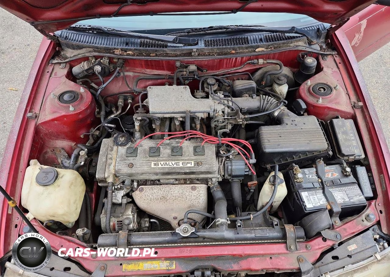 1994 Toyota Corolla Dx VIN:2T1AE09B4RC062868 - 11