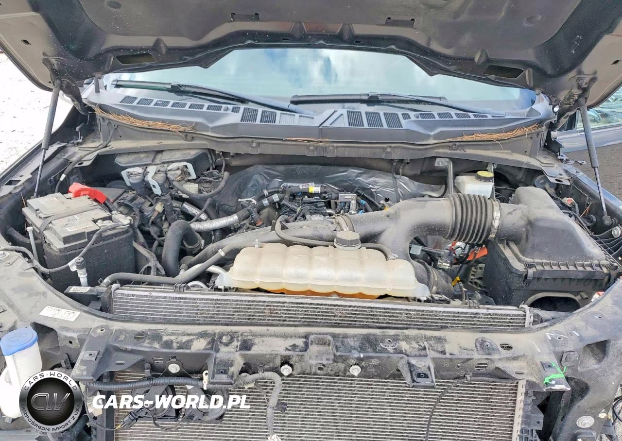 2023 Ford F150 Supercrew VIN:1FTEW1CP7PKE36040 - 11