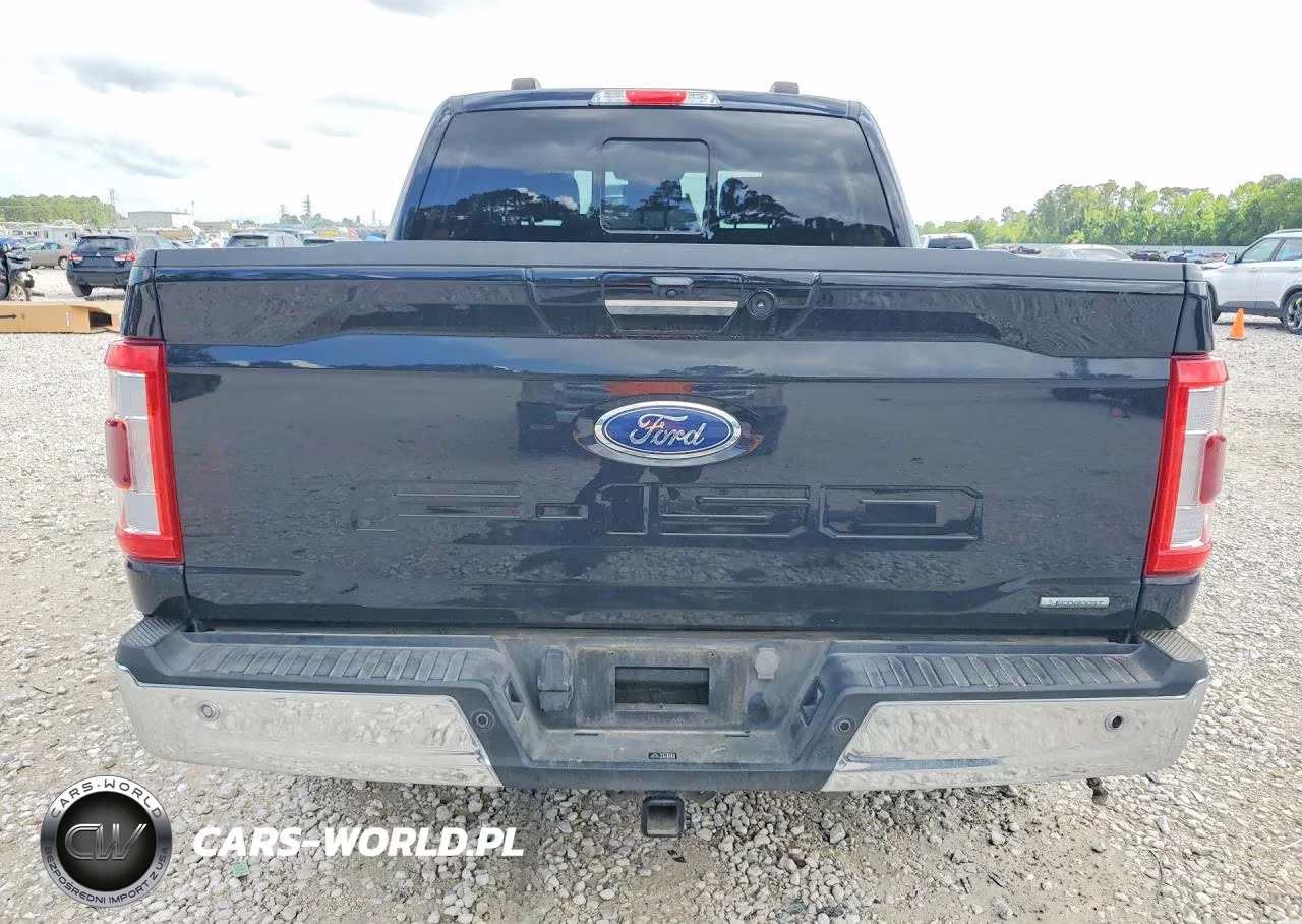 2023 Ford F150 Supercrew VIN:1FTEW1CP7PKE36040 - 6