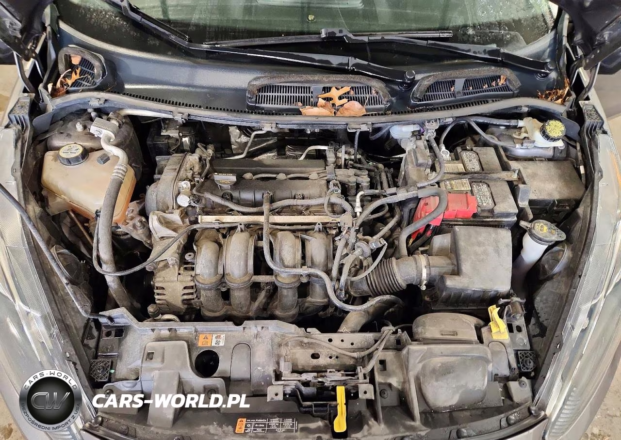 2014 Ford Fiesta Se VIN:3FADP4BJ0EM132972 - 11