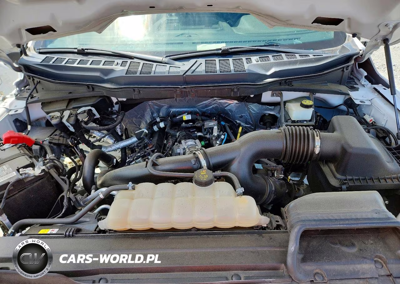 2023 Ford F150 Super Cab VIN:1FTEX1EP6PKD21911 - 11