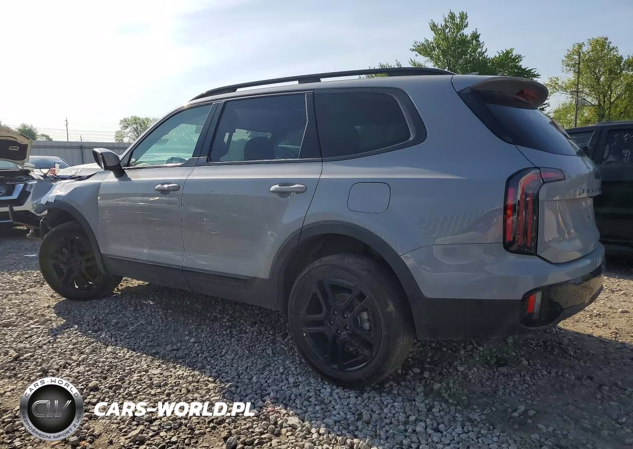 2025 Kia Telluride Ex X-Line VIN:5XYP3DGCXSG599323 - 2