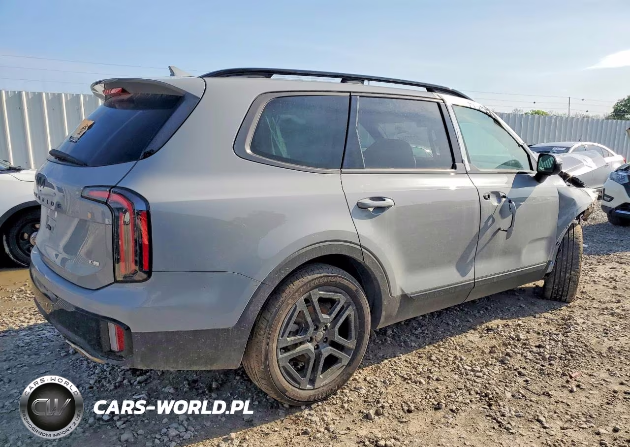 2025 Kia Telluride Ex X-Line VIN:5XYP3DGCXSG599323 - 3