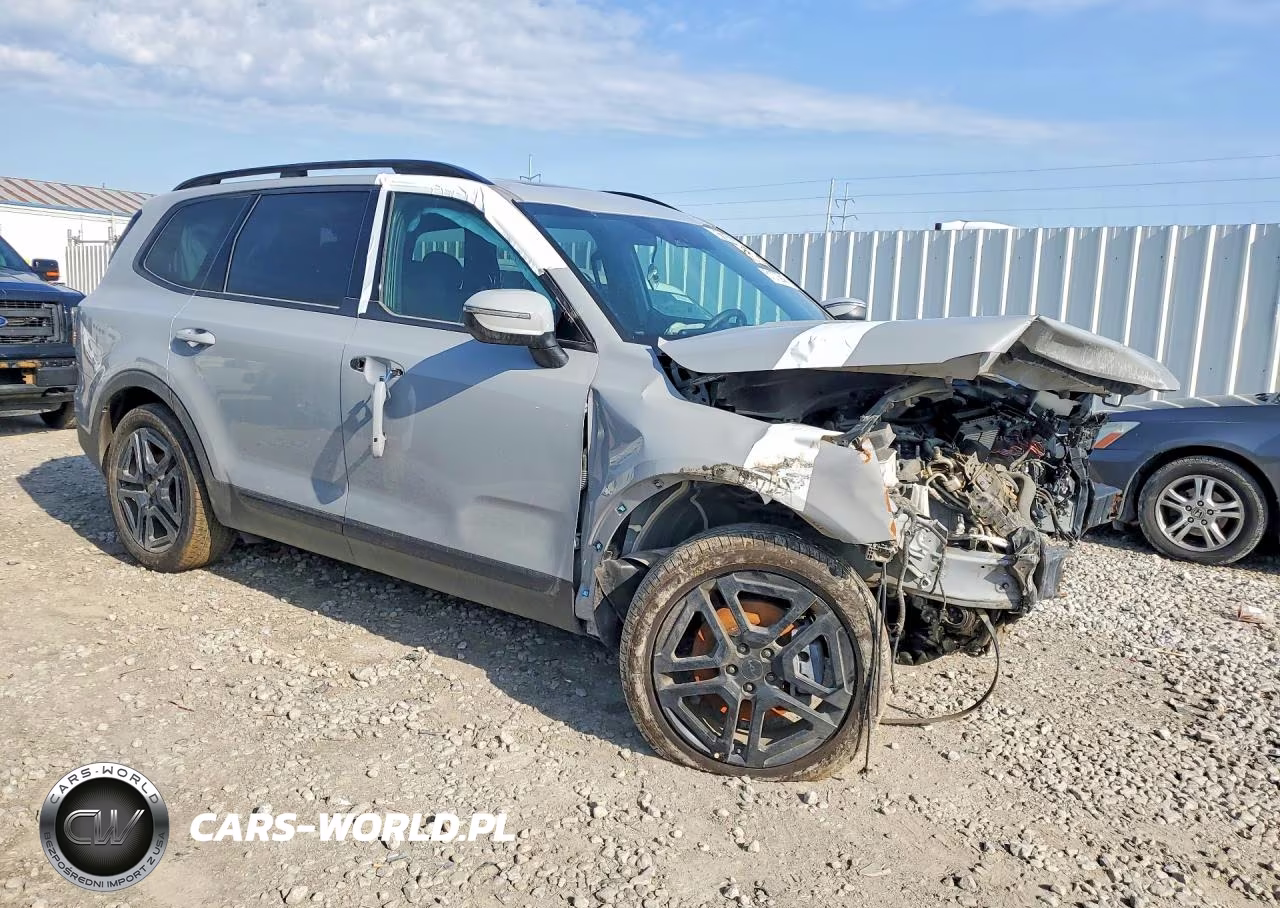 2025 Kia Telluride Ex X-Line VIN:5XYP3DGCXSG599323 - 4