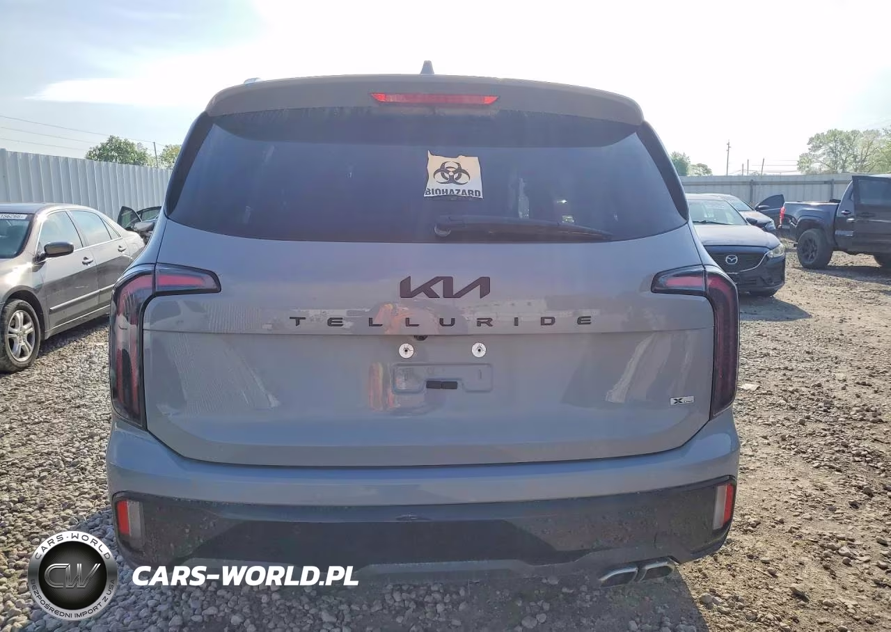2025 Kia Telluride Ex X-Line VIN:5XYP3DGCXSG599323 - 6