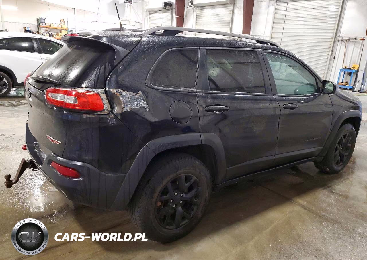 2016 Jeep Cherokee Trailhawk VIN:1C4PJMBSXGW219850 - 3