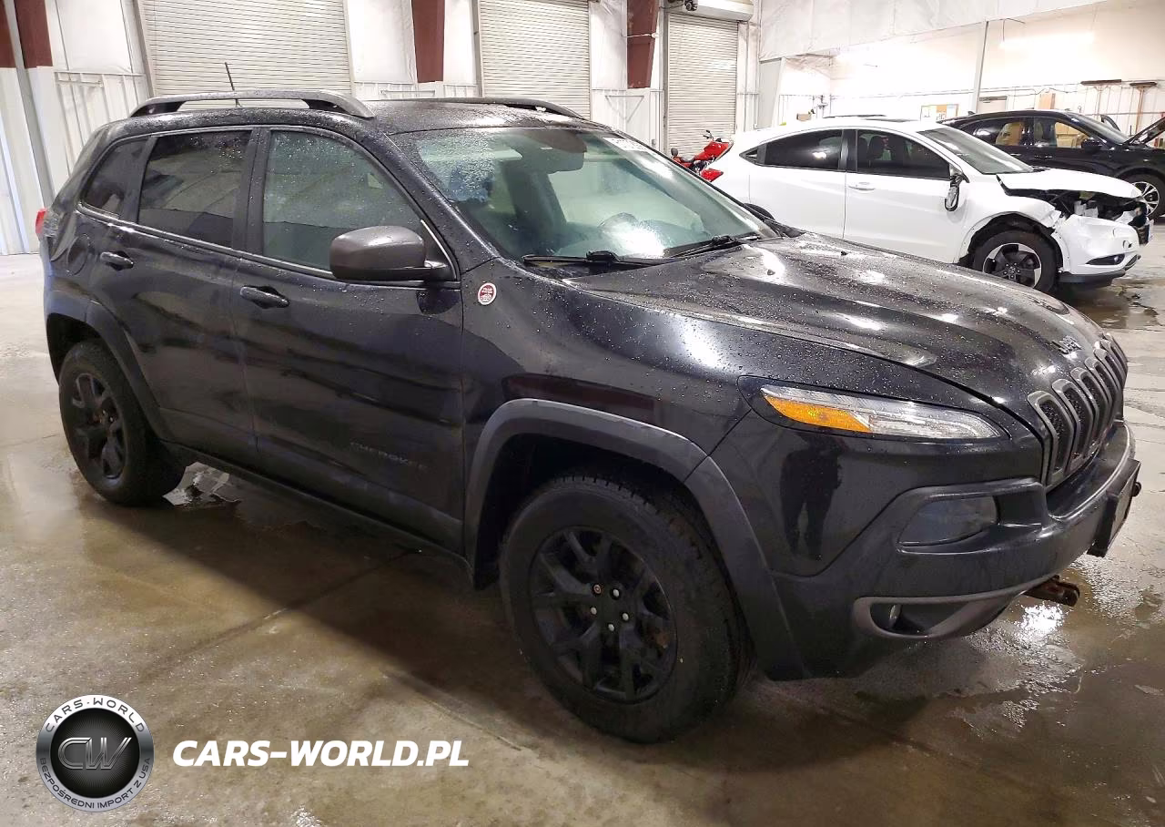 2016 Jeep Cherokee Trailhawk VIN:1C4PJMBSXGW219850 - 4